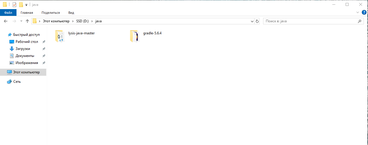 Папка java с gradle-5.6.4-bin и lysis-java-master