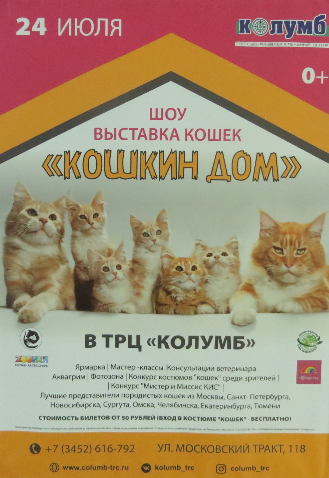 Выставка кошек